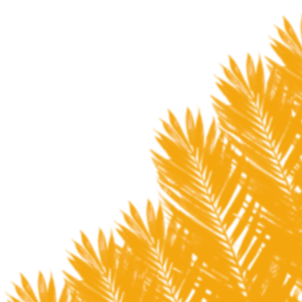 palm leaves